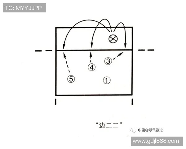成都排球队反击战术解析与实战应用探讨